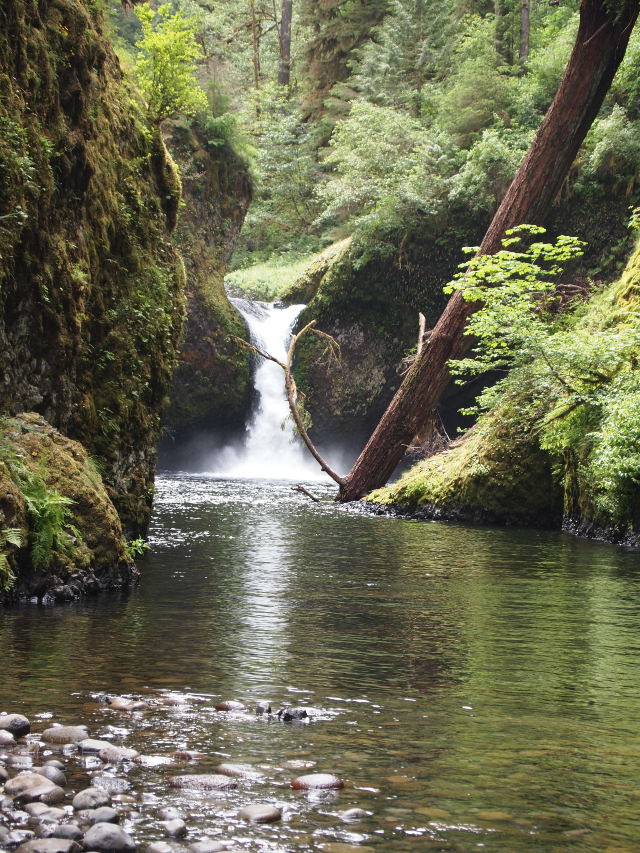 Punchbowl falls, the treat at the end of the trail.
